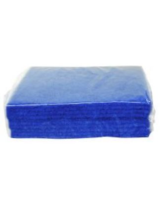 Picture of JANGRO CONTRACT SCOURER BLUE 22 X 15CM (10)